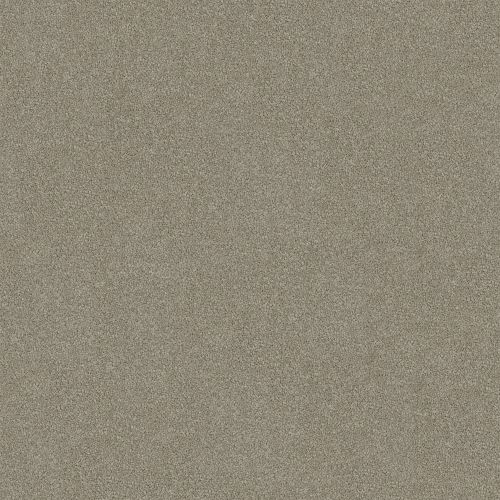 Darling Cove 91 Grey Tint